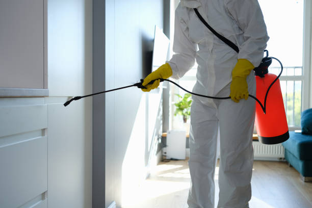 Professional Mold Removal in Glens Falls North, NY